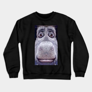 Jefferson Crewneck Sweatshirt